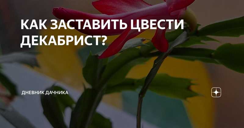 Придумать заманчивую тему статьи