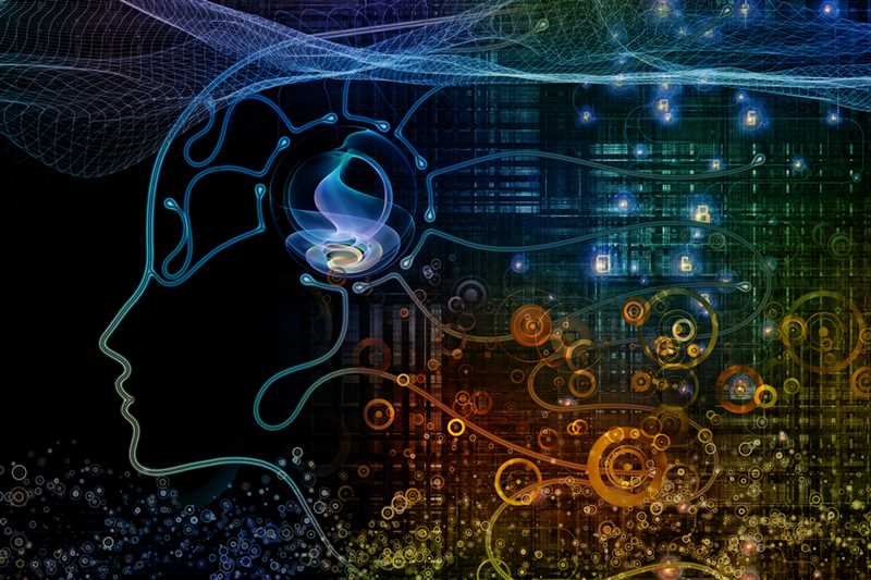 ТикТок и обучение машин - как соцсети стимулируют развитие искусственного интеллекта